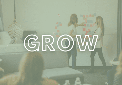 3 — Grow GROW